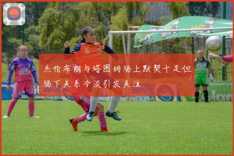 杰伦布朗与塔图姆场上默契十足但场下关系冷淡引发关注