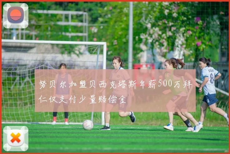 努贝尔加盟贝西克塔斯年薪500万拜仁仅支付少量赔偿金